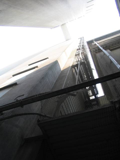 IMG_5998.JPG